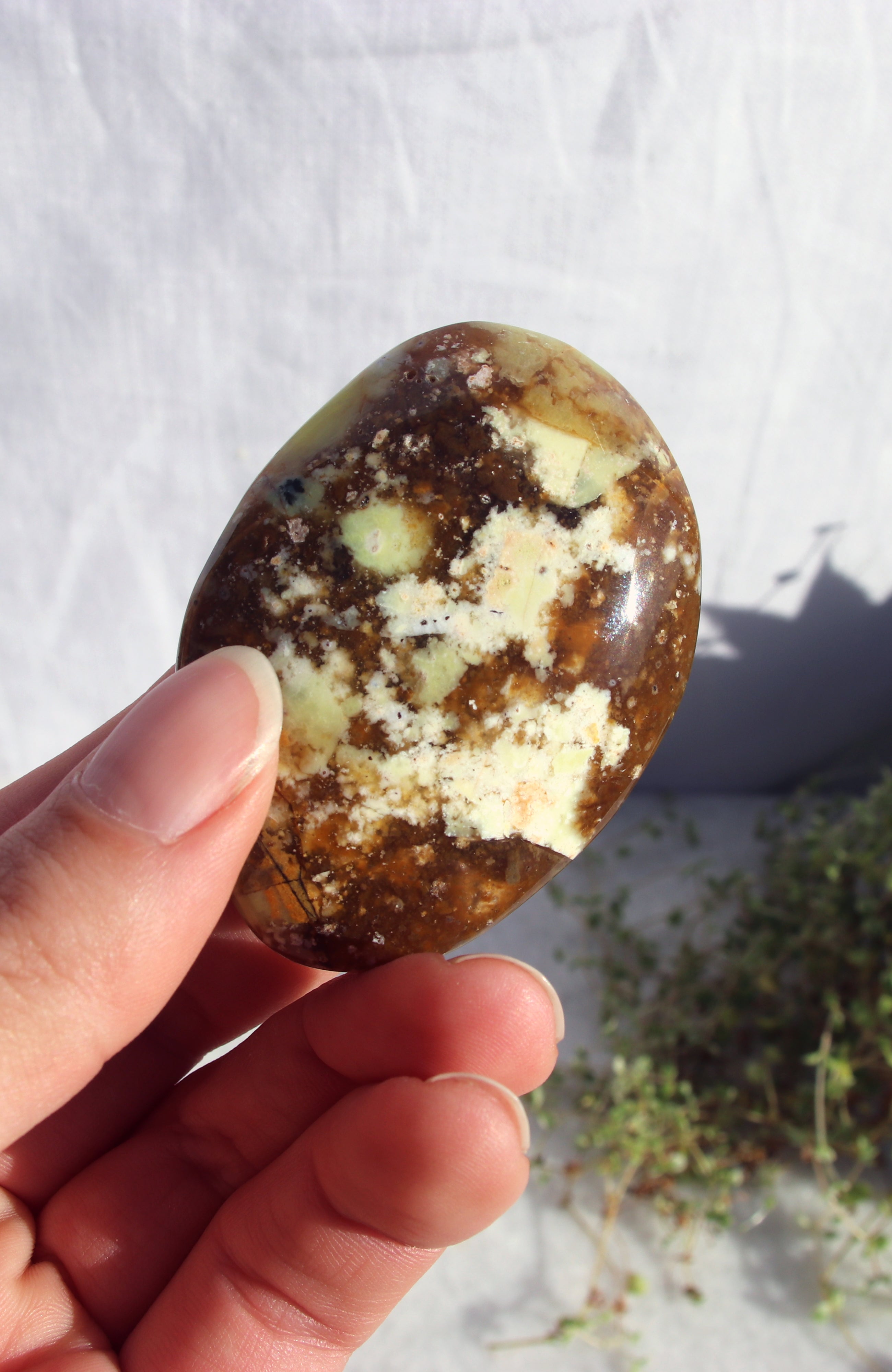 Kiwi Opal Palmstone